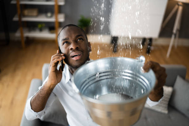 Best Emergency water damage restoration  in Canfield, OH