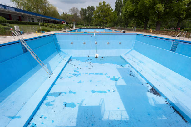 Best Water damage restoration services  in Canfield, OH