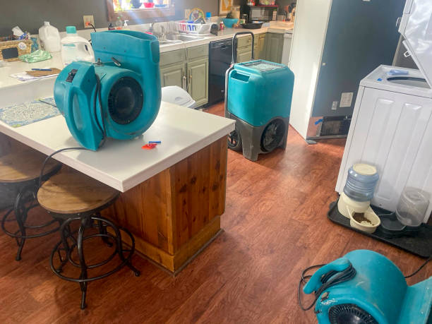 Best Water damage contractors near me  in Canfield, OH