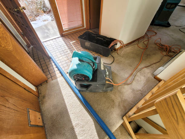 Best 24/7 water damage repair  in Canfield, OH