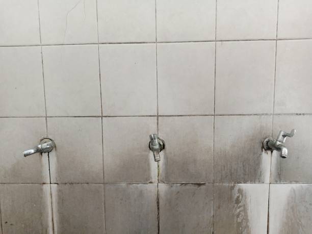 Best Water damage restoration company  in Canfield, OH