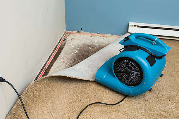Best Residential water damage restoration  in Canfield, OH